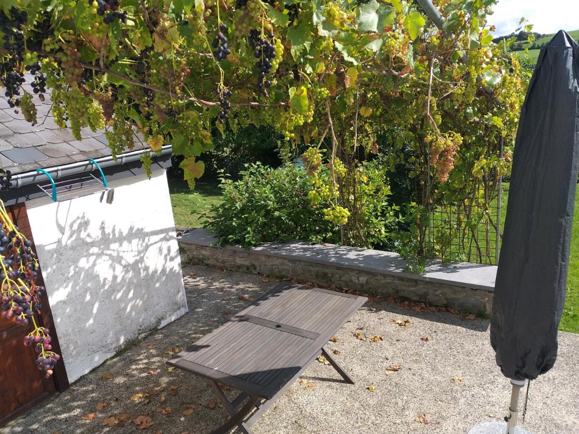 Bertogne Gite L'Ecole De Ma Mere 빌라 외부 사진